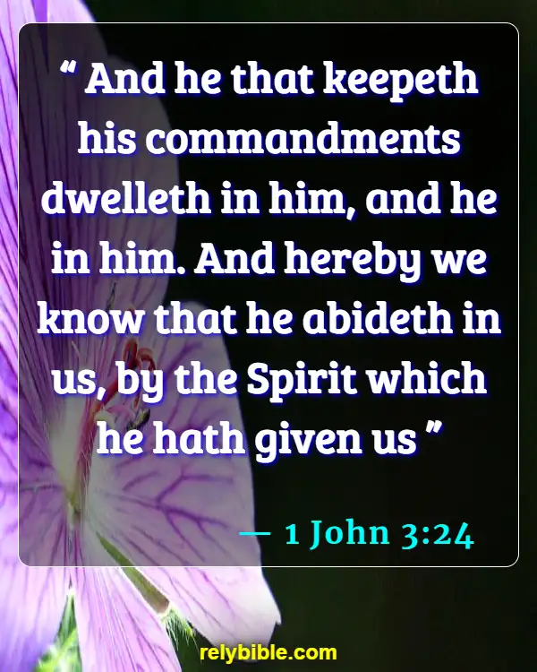 Bible verses About Assurance Of Salvation (1 John 3:24)