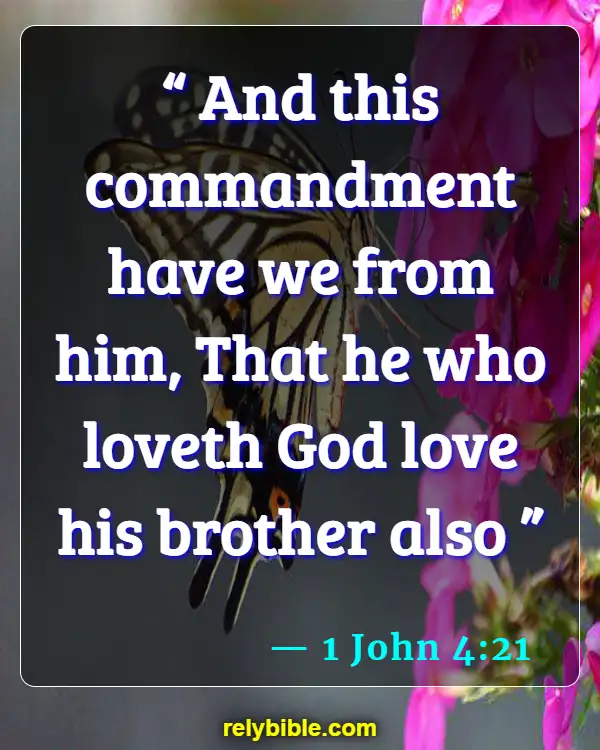 Bible verses About Loving Your Brother (1 John 4:21)