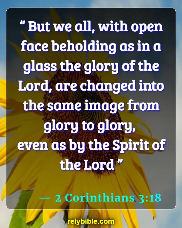 Bible verses About Spirit (2 Corinthians 3:18)