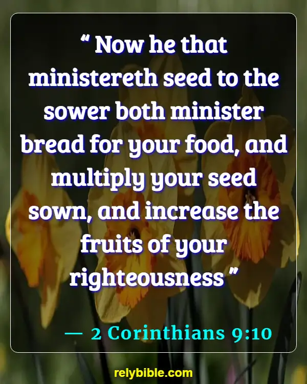 Bible verses About Giving Back (2 Corinthians 9:10)