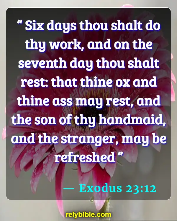 Bible verses About Sabbath (Exodus 23:12)