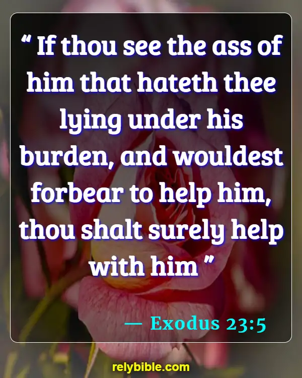 Bible verses About Enemies (Exodus 23:5)
