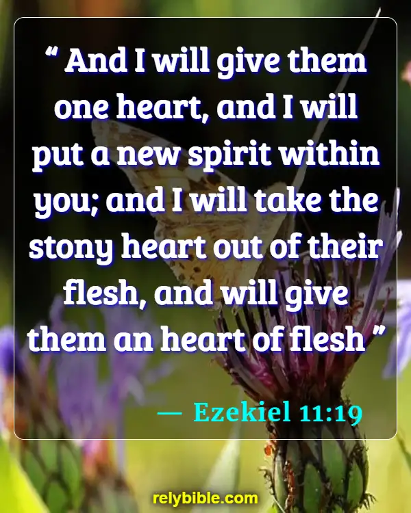 Bible verses About The Heart Of Man (Ezekiel 11:19)