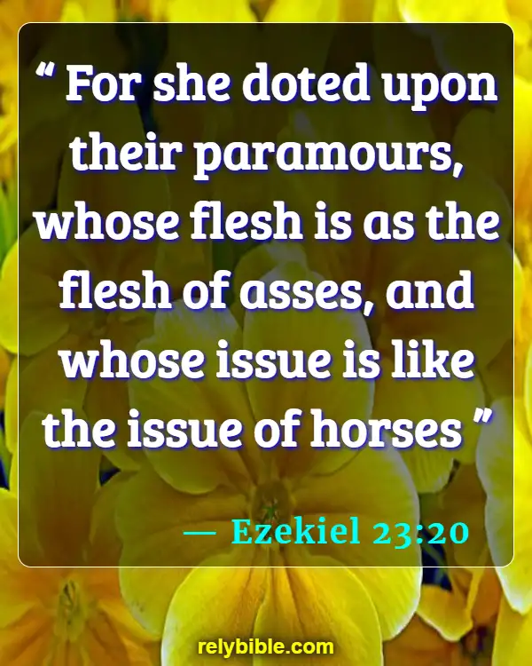 Bible verses About Being Ignored (Ezekiel 23:20)