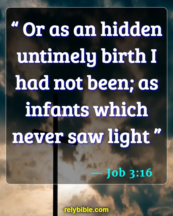 Bible verses About When Life Begins (Job 3:16)