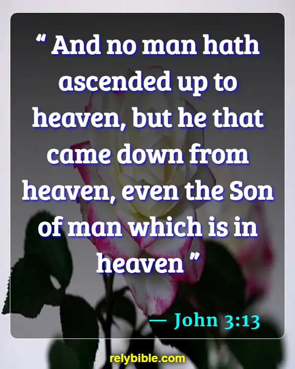 Bible verses About Schizophrenia (John 3:13)