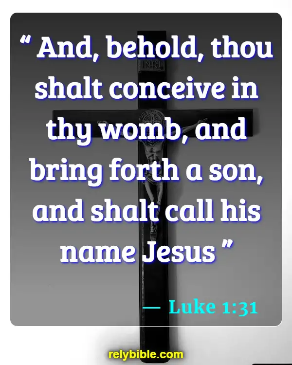 Bible verses About When Life Begins (Luke 1:31)