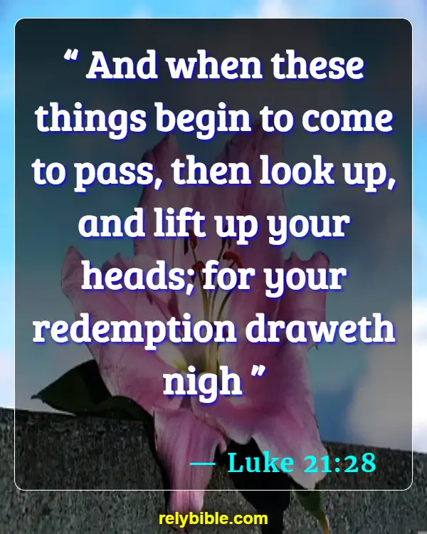 Bible verses About Jesus Return (Luke 21:28)