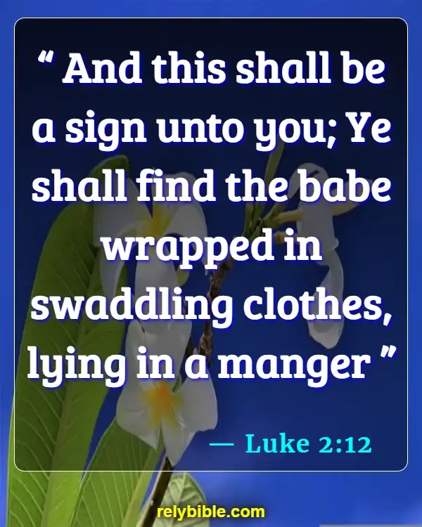 Bible verses About When Life Begins (Luke 2:12)