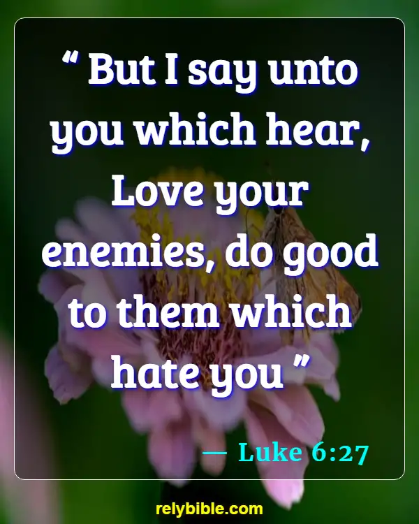 Bible verses About Enemies (Luke 6:27)