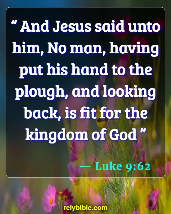 Bible verses About Looking Forward (Luke 9:62)
