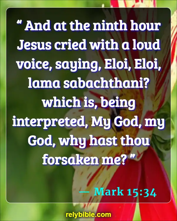 Bible verses About Disagreements (Mark 15:34)