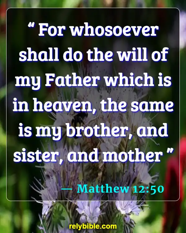 Bible verses About Loving Your Brother (Matthew 12:50)