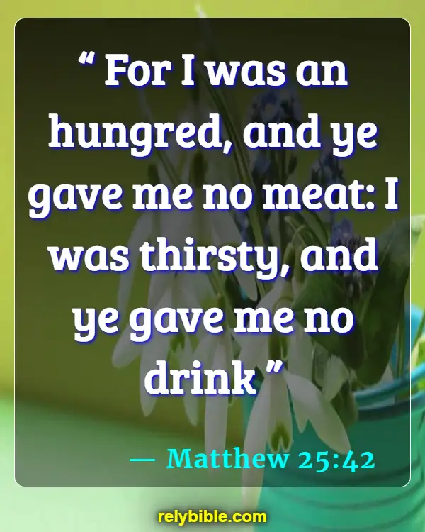 Bible verses About Feeding The Hungry (Matthew 25:42)