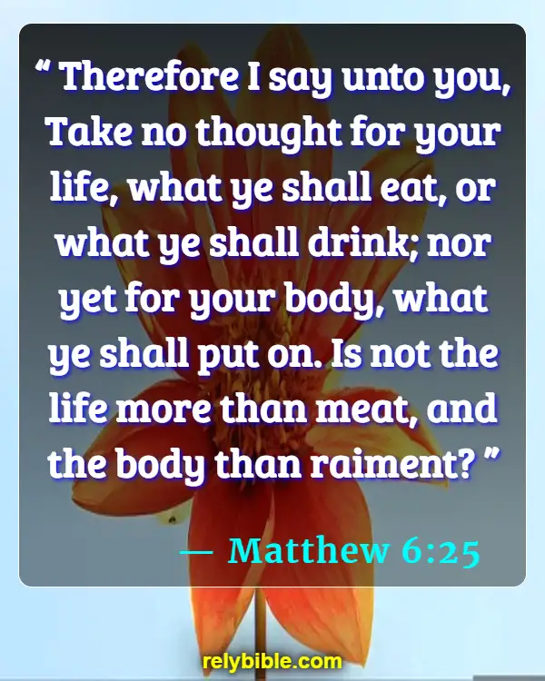 Bible verses About Harming Your Body (Matthew 6:25)