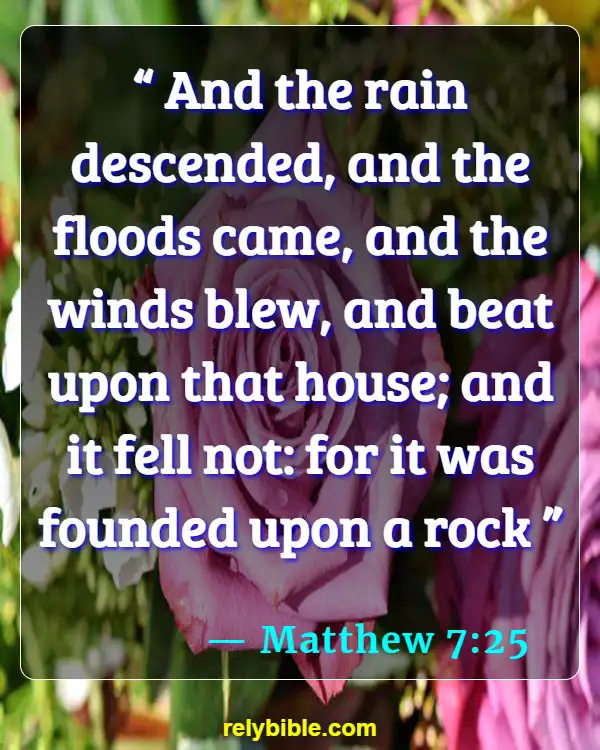 Bible verses About Houses (Matthew 7:25)