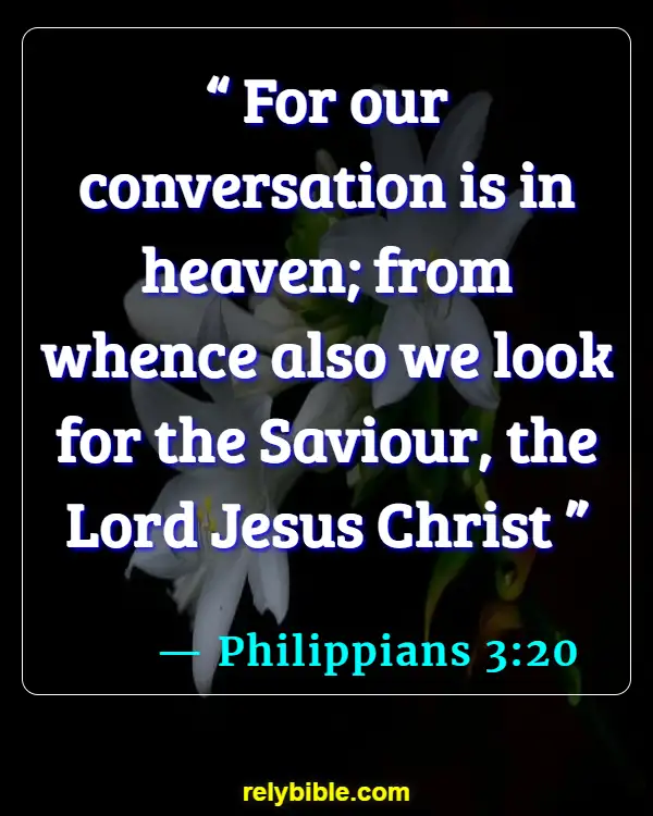 Bible verses About Jesus Return (Philippians 3:20)