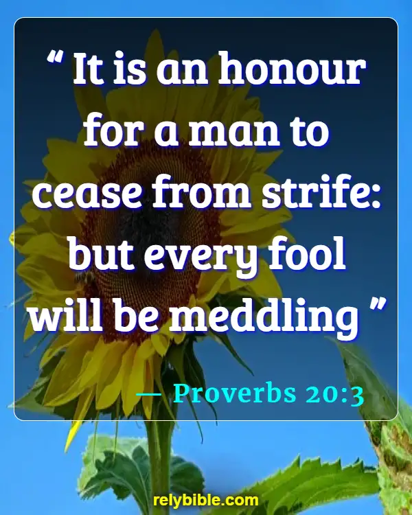 Bible verses About Quarreling (Proverbs 20:3)