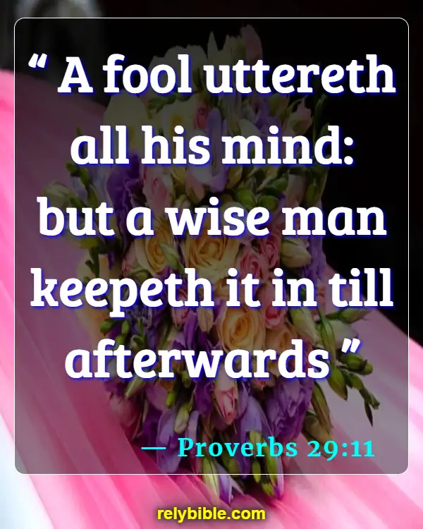 Bible verses About Abuse (Proverbs 29:11)