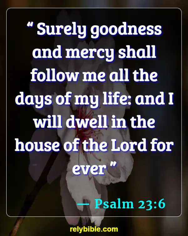 Bible verses About Houses (Psalm 23:6)