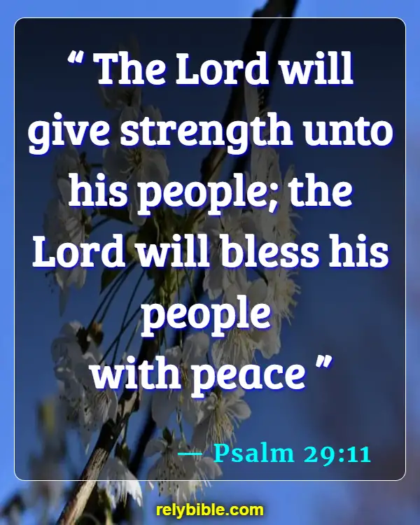 Bible verses About Gods Peace (Psalm 29:11)