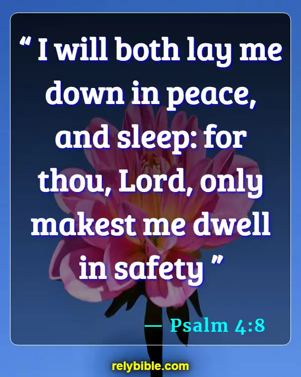 Bible verses About Gods Peace (Psalm 4:8)