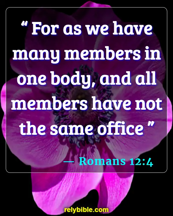 Bible verses About Healthy Body (Romans 12:4)