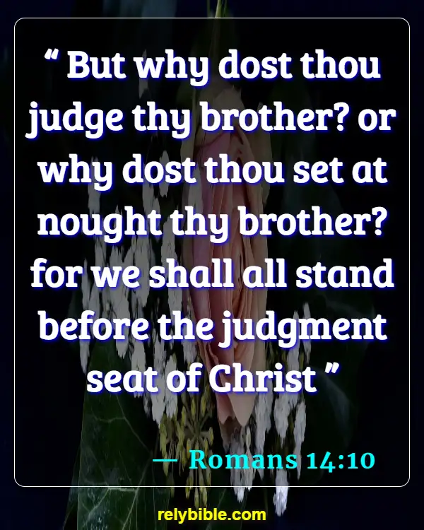 Bible verses About Grudges (Romans 14:10)