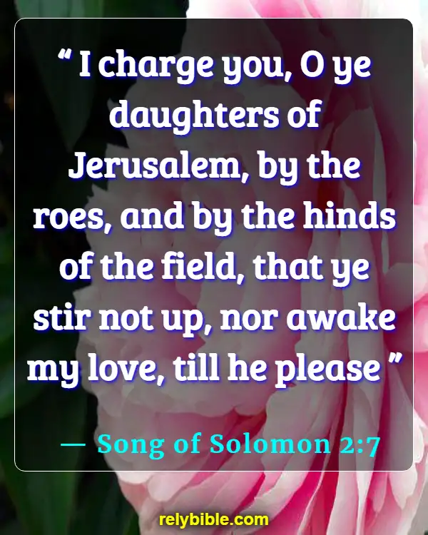 Bible verses About Waiting Until Marriage (Song of Solomon 2:7)