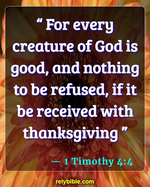 Bible verses About Gratitude (1 Timothy 4:4)