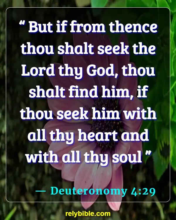 Bible verses About Seeking God (Deuteronomy 4:29)