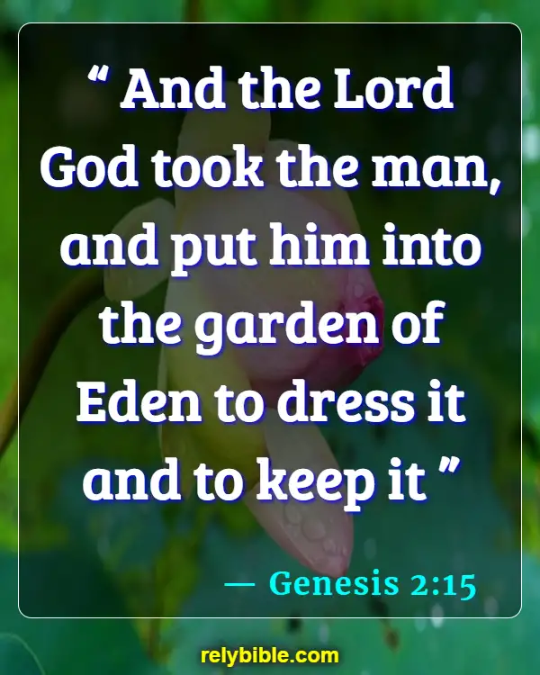 Bible verses About Gods Care (Genesis 2:15)