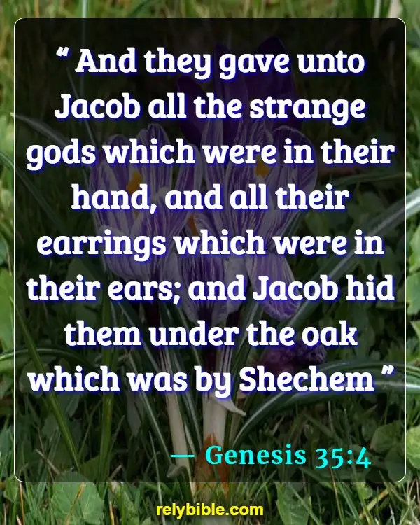 Bible verses About Wearing Jewelry (Genesis 35:4)