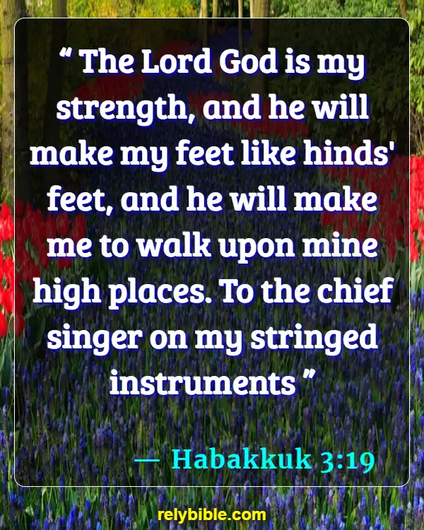Bible verses About Bravery (Habakkuk 3:19)