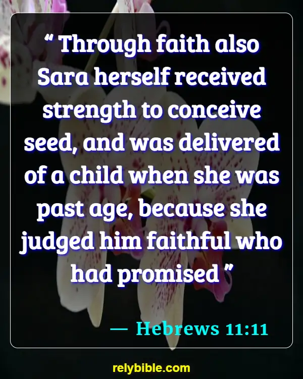 Bible verses About Getting Pregnant (Hebrews 11:11)