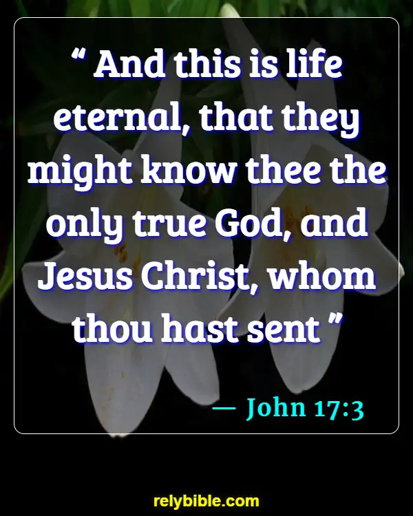 Bible verses About Sudden Death (John 17:3)