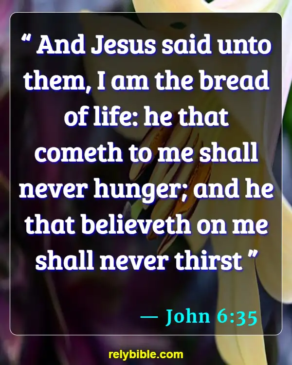 Bible verses About Feeding The Hungry (John 6:35)
