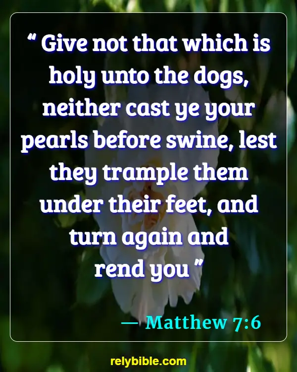 Bible verses About Wearing Jewelry (Matthew 7:6)