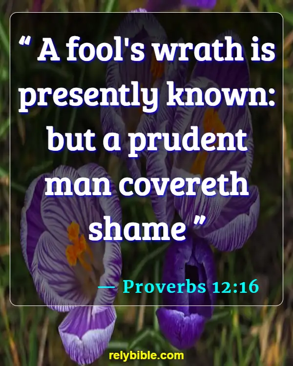 Bible verses About Wrath (Proverbs 12:16)