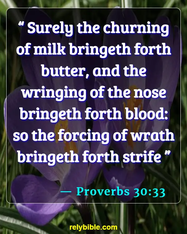 Bible verses About Quarreling (Proverbs 30:33)