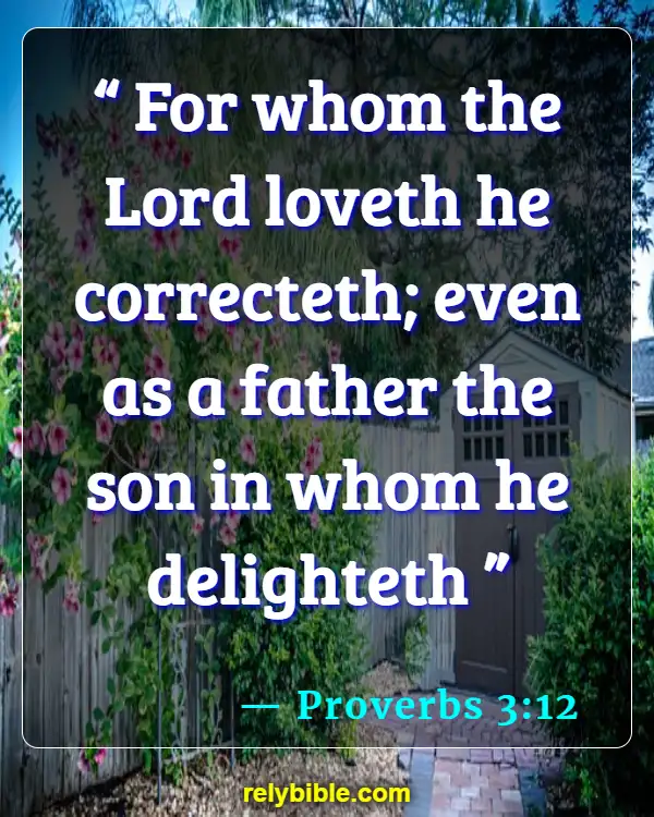 Bible verses About Correction (Proverbs 3:12)