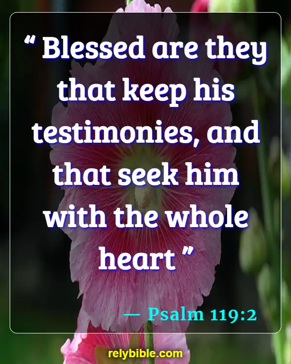 Bible verses About Seeking God (Psalm 119:2)