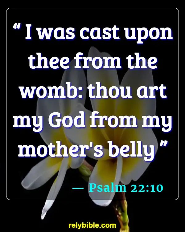 Bible verses About Getting Pregnant (Psalm 22:10)