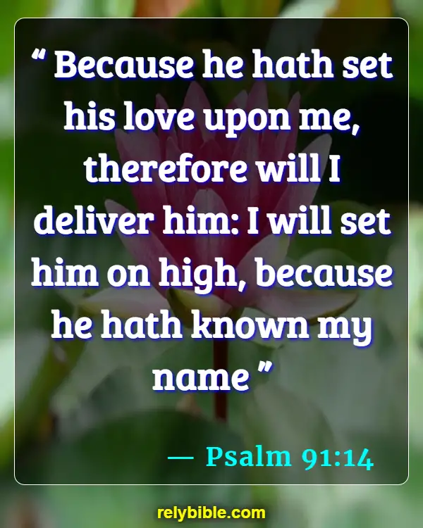 Bible verses About Enemies (Psalm 91:14)