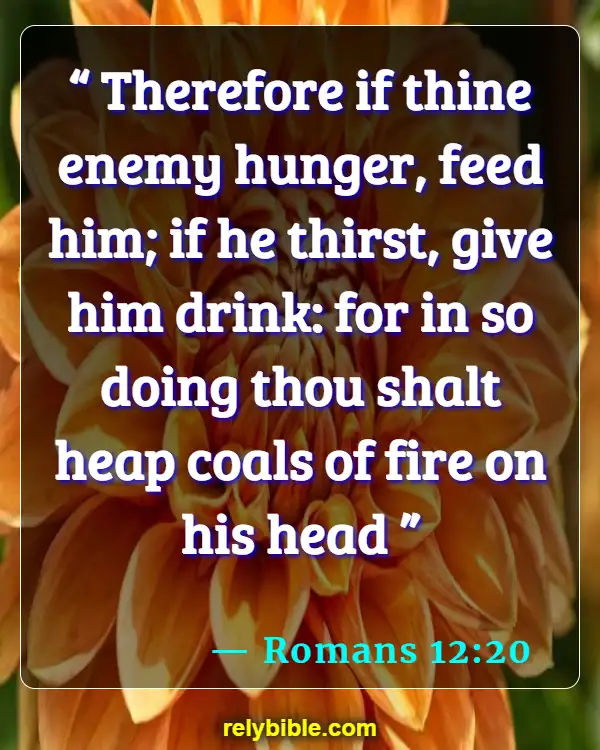 Bible verses About Enemies (Romans 12:20)