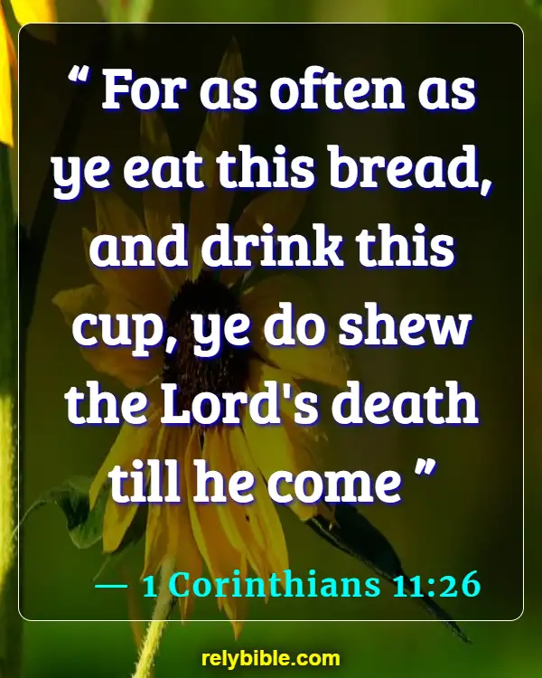 Bible verses About Jesus Return (1 Corinthians 11:26)