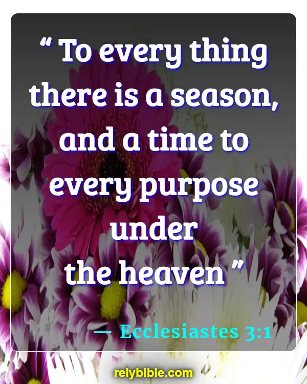 Bible verses About Seasons Of Life (Ecclesiastes 3:1)