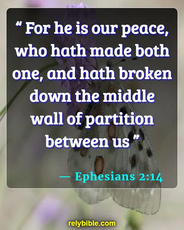 Bible verses About Gods Peace (Ephesians 2:14)