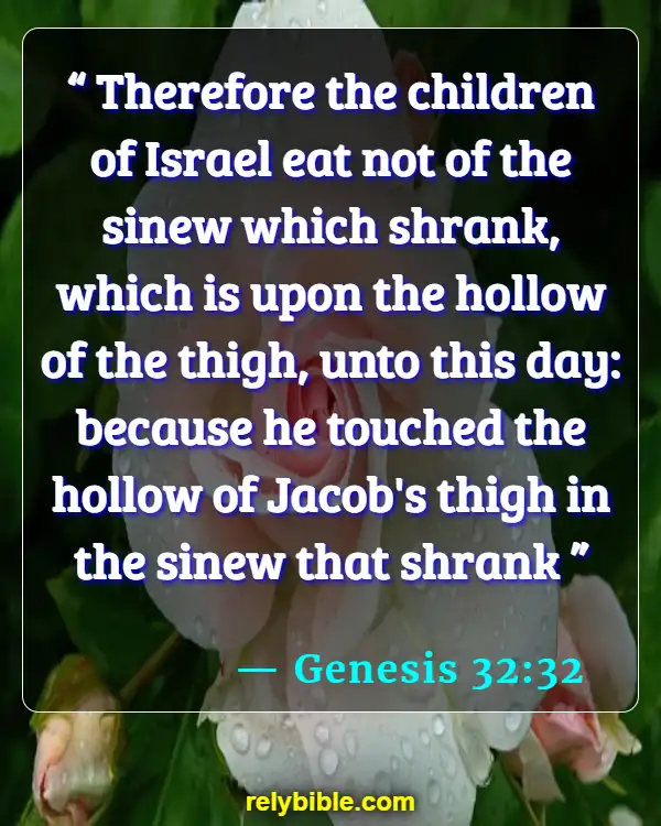Bible verses About Touch (Genesis 32:32)