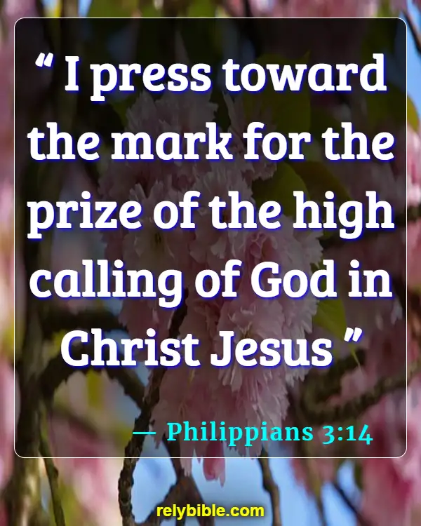 Bible verses About Running (Philippians 3:14)